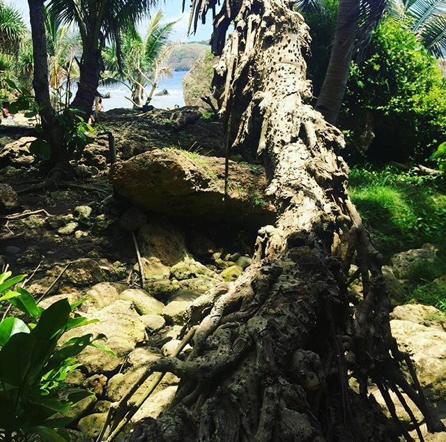 image_uploaded_from_ios